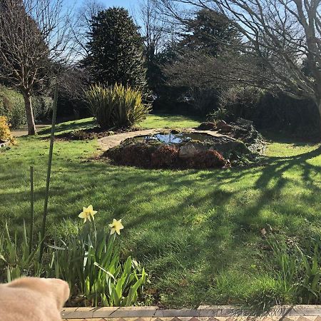 Hartree Guest House Newton Abbot Bagian luar foto