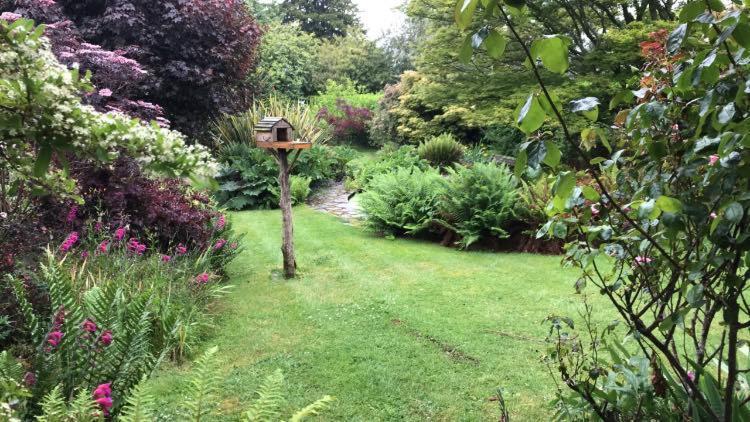 Hartree Guest House Newton Abbot Bagian luar foto