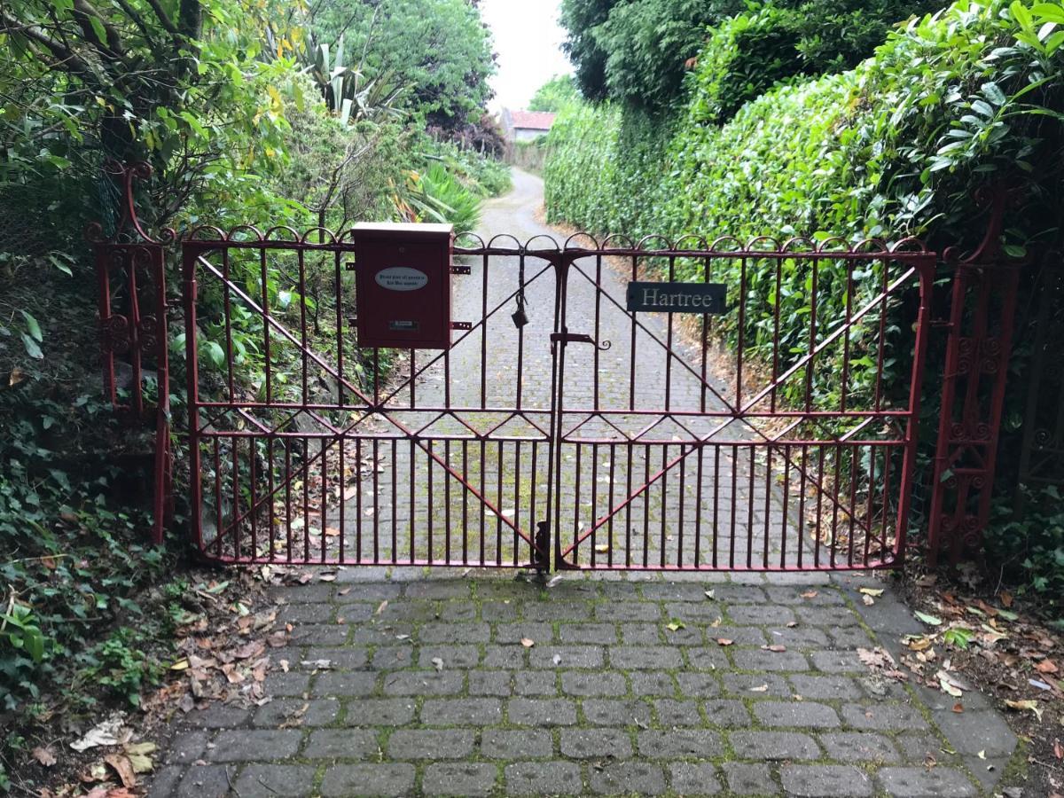 Hartree Guest House Newton Abbot Bagian luar foto