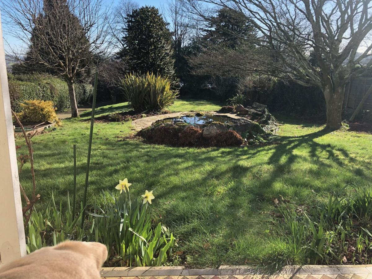 Hartree Guest House Newton Abbot Bagian luar foto